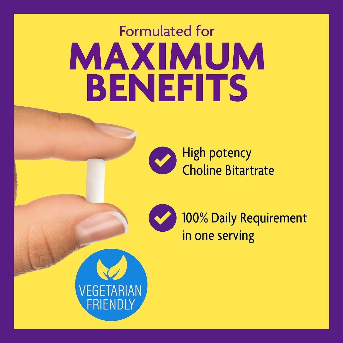InnovixLabs Choline & Multi Probiotic Bundle Choline Bitartrate 550mg (100 Capsules) Multi Strain Probiotics (60 Capsules). Supports Memory, Mood, Brain Health & Boost Cognitive.* - PrimeBioHealth - canada supplements