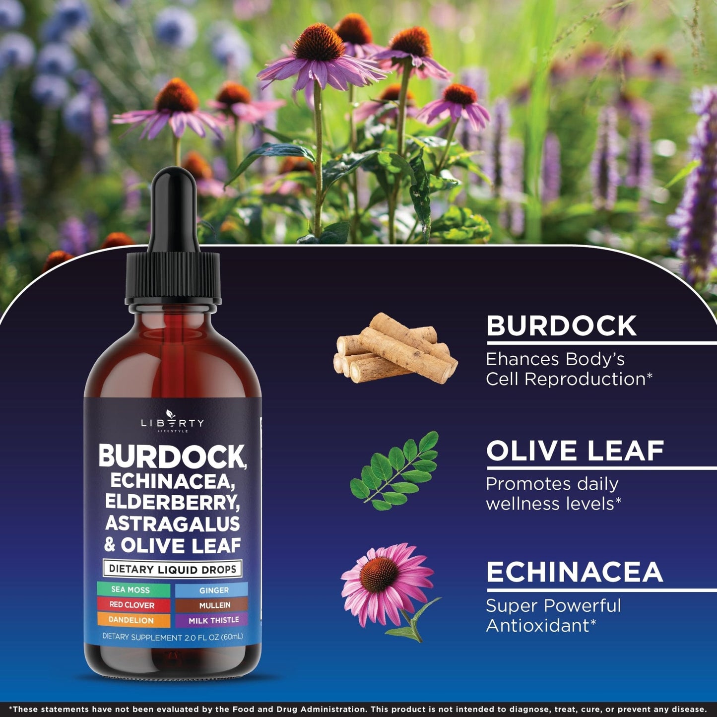 Liberty Lifestyle Lymphatic Drainage Supplement - Burdock Lymphatic Support Drops - Burdock Root, Mullein, Echinacea, Elderberry, Dandelion, Astragalus, Milk Thistle, Red Clover - 2 oz - PrimeBioHealth - canada supplements