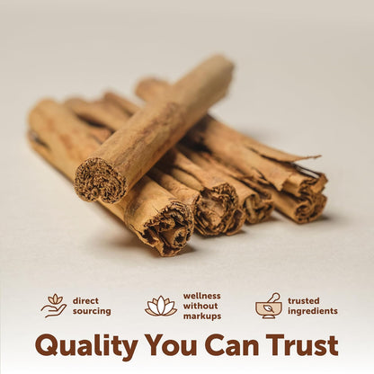 Micro Ingredients Ceylon Cinnamon, 300 Softgels | Cinnamon Supplements with MCT Oil | Non-GMO, Gluten Free - PrimeBioHealth - canada supplements