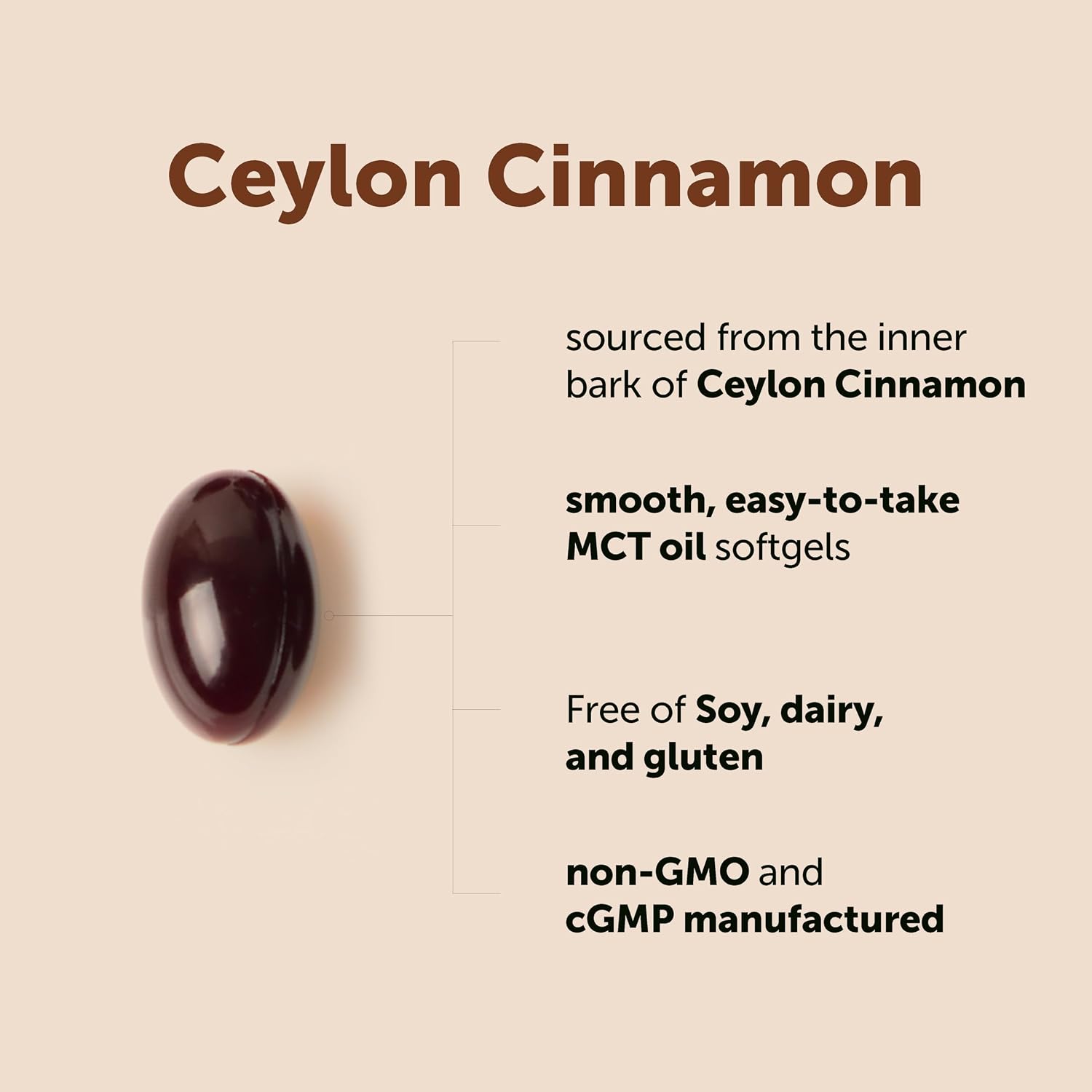 Micro Ingredients Ceylon Cinnamon, 300 Softgels | Cinnamon Supplements with MCT Oil | Non-GMO, Gluten Free - PrimeBioHealth - canada supplements
