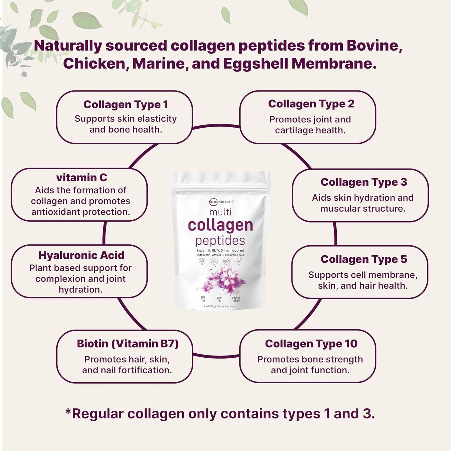 Micro Ingredients Multi Collagen Protein Powder 2 Pounds & Instant Colostrum Powder Bundle 2 Pack | Grass-Fed Collagen Peptides | Premium Bovine Mother’s First Milk - PrimeBioHealth - canada supplements