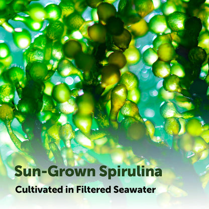 Micro Ingredients Organic Spirulina Supplement, 720 Tablets (4 Month Supply), No Filler & Non-GMO, Rich in Vegan Protein, Vitamins & Prebiotics, Premium Spirulina Pills - PrimeBioHealth - canada supplements