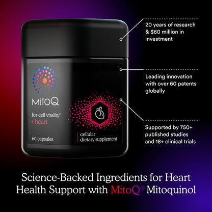 MitoQ +Heart Advanced CoQ10 Antioxidant - Heart Health Supplement with L-Carnitine, Magnesium, & Vitamin D3 - Supports Cardiovascular Health, Blood Flow, and Cellular Energy (60 Capsules) - PrimeBioHealth - canada supplements