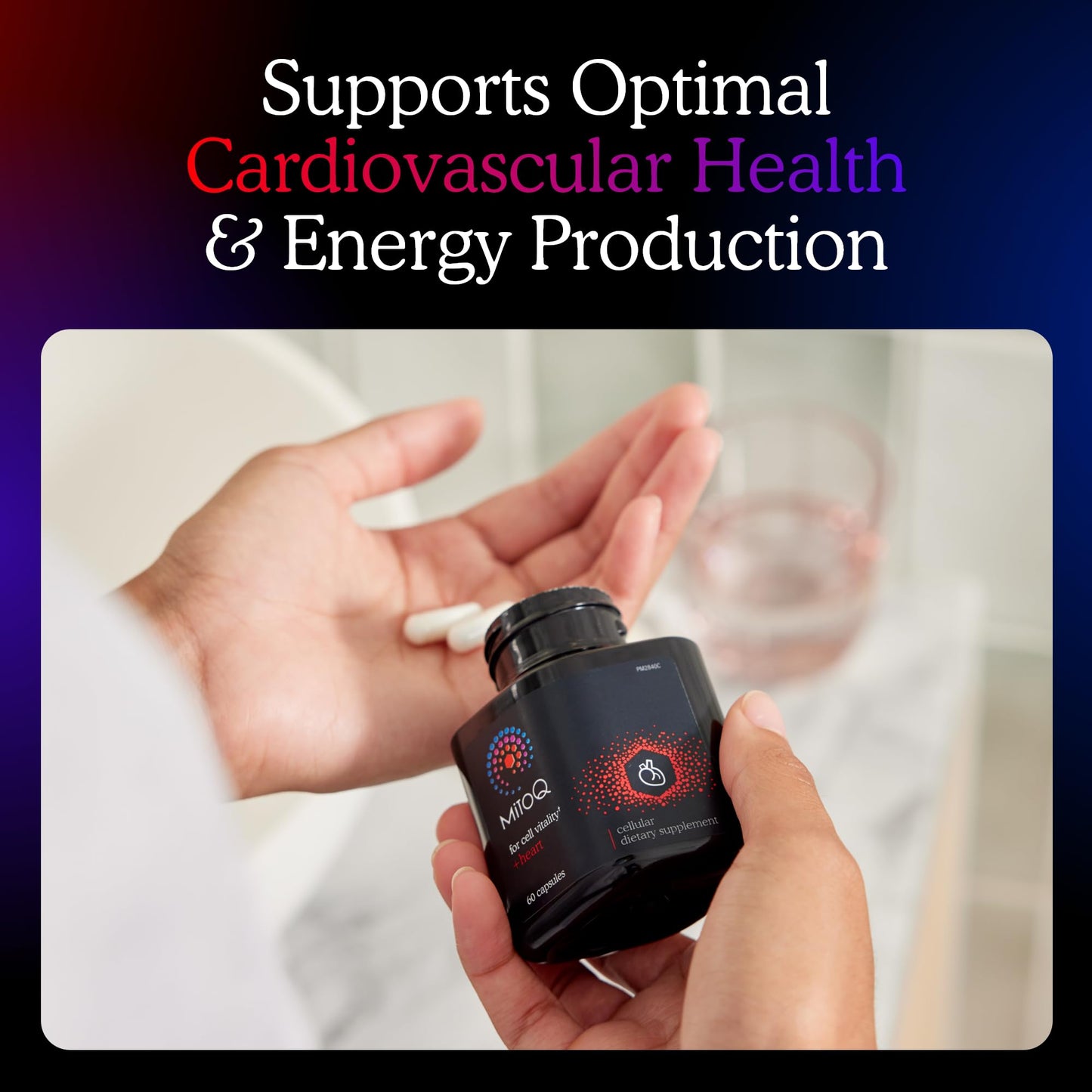 MitoQ +Heart Advanced CoQ10 Antioxidant - Heart Health Supplement with L-Carnitine, Magnesium, & Vitamin D3 - Supports Cardiovascular Health, Blood Flow, and Cellular Energy (60 Capsules) - PrimeBioHealth - canada supplements