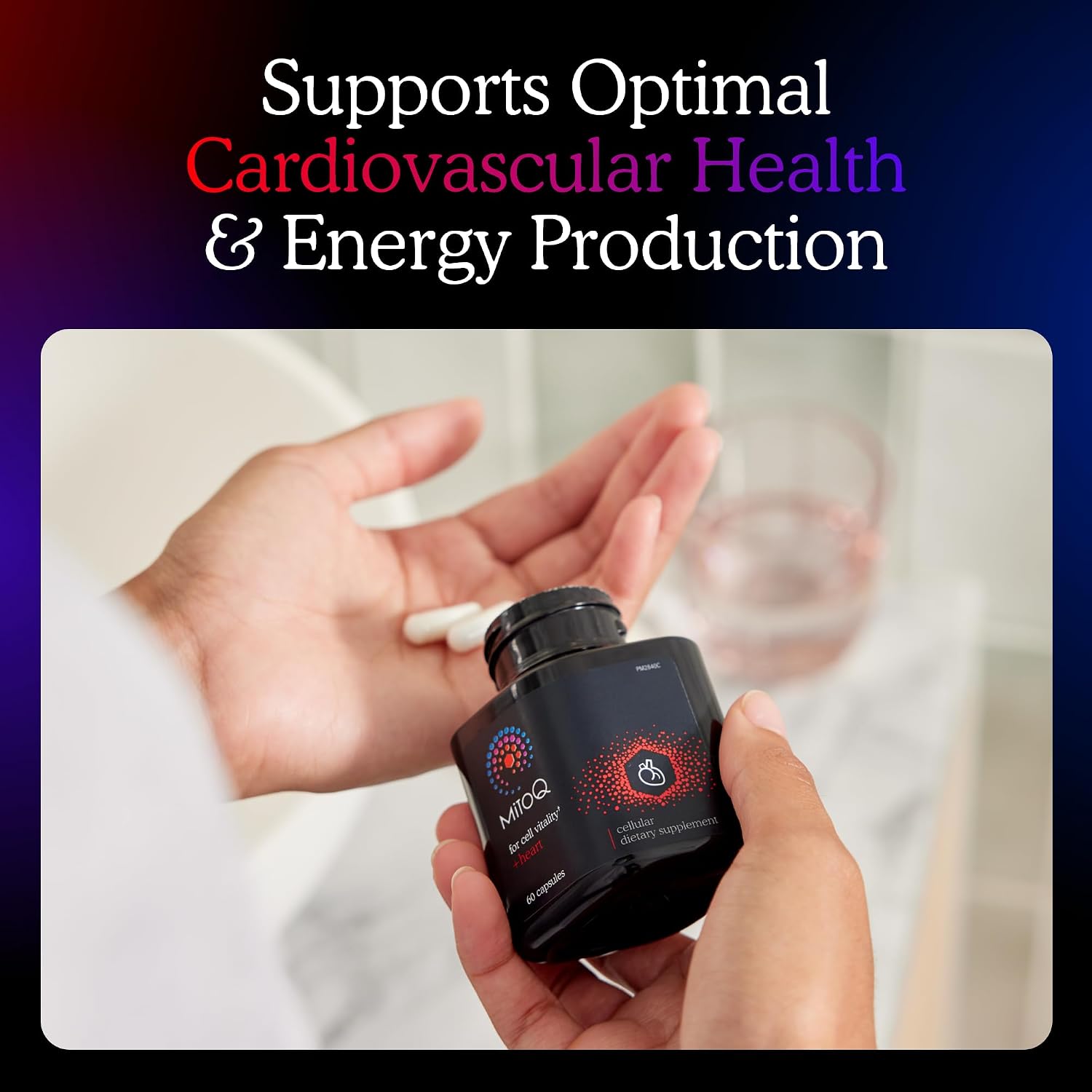 MitoQ Ultimate Antioxidant Bundle: Mitochondria-Targeted and Heart Health Antioxidant Supplements | Supports Cellular Longevity, Cardiovascular Health, Energy, and Healthy Aging (2 x 60 Capsules) - PrimeBioHealth - canada supplements