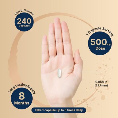 NatureBell Magnesium Glycinate Capsules 500mg & Vaginal Probiotics for Women in Veggie Capsules | Bundle Pack | Chelated & Purified Mineral | 10 Strains & 10 Billion CFU - PrimeBioHealth - canada supplements