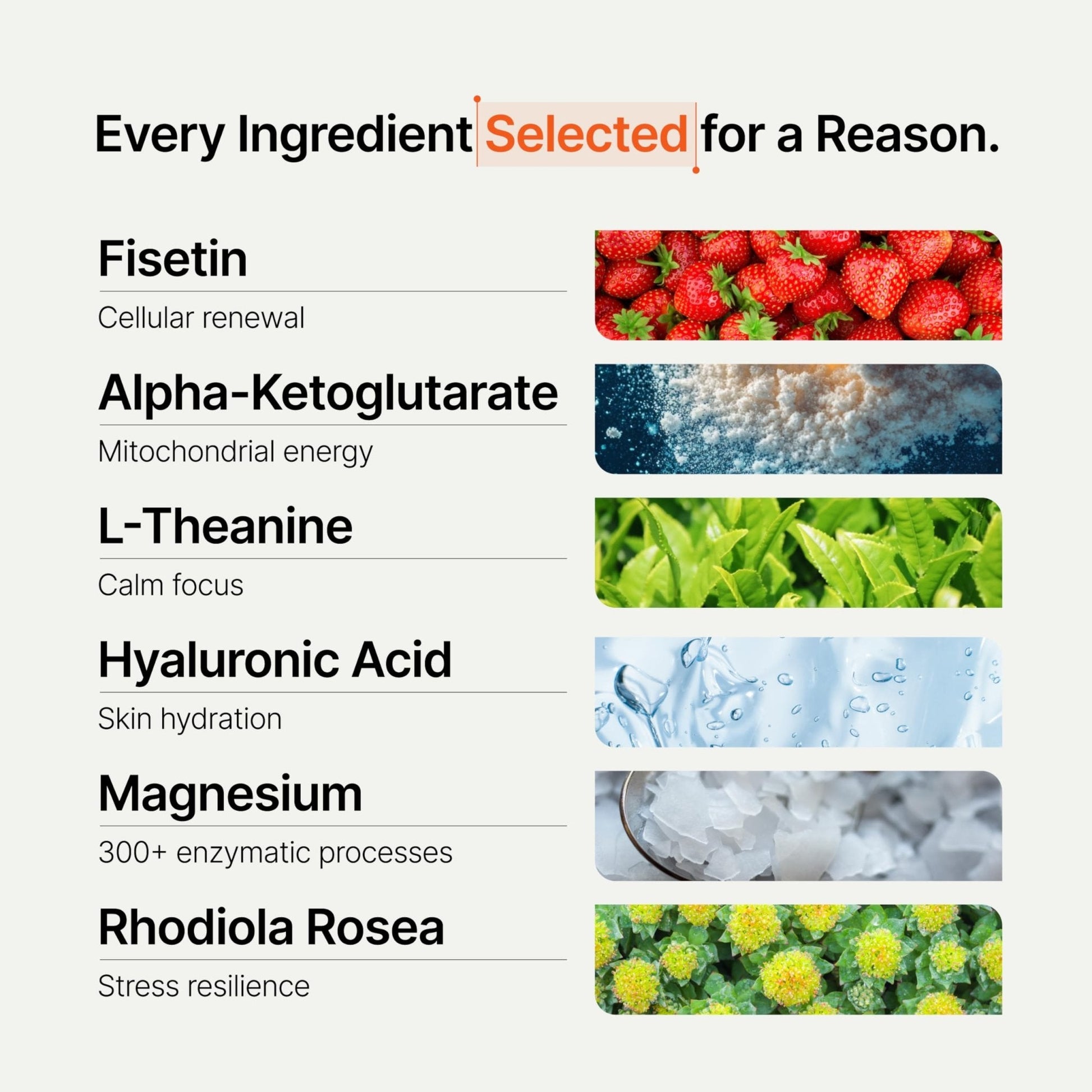 Novos Core - Clinically Studied Daily Longevity Supplement | 12 Active Ingredients for Healthy Aging, Energy, Cognition & Skin Health | Human Clinical Trial Backed | Orange Flavored | 30 Servings - PrimeBioHealth - canada supplements