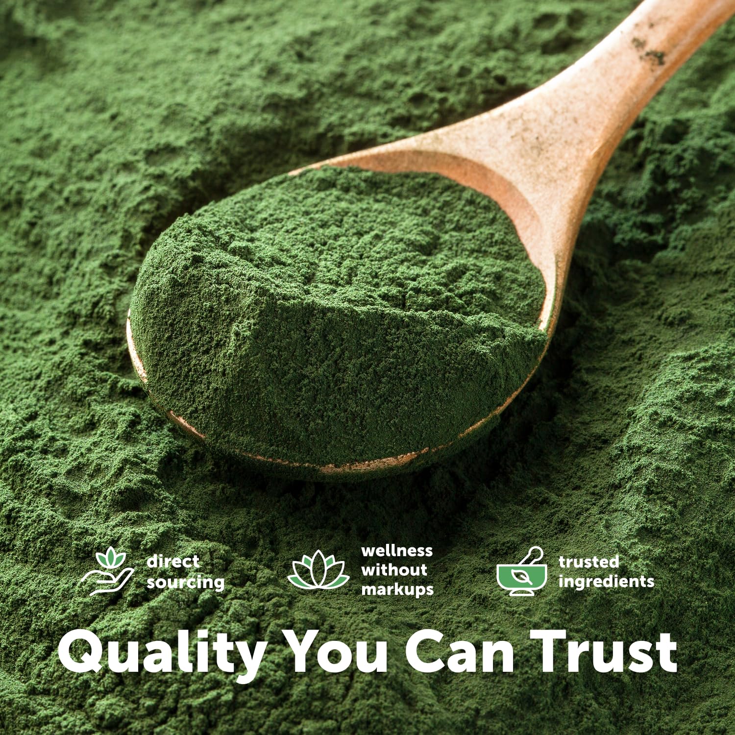 Organic Spirulina Powder, 1lb | Blue-Green Algae, Naturally Occurring Vegan Protein, Vitamins & Minerals | Source of Natural Chlorophyll & Enzymes | Non-GMO, Gluten-Free, No Additives - PrimeBioHealth - canada supplements