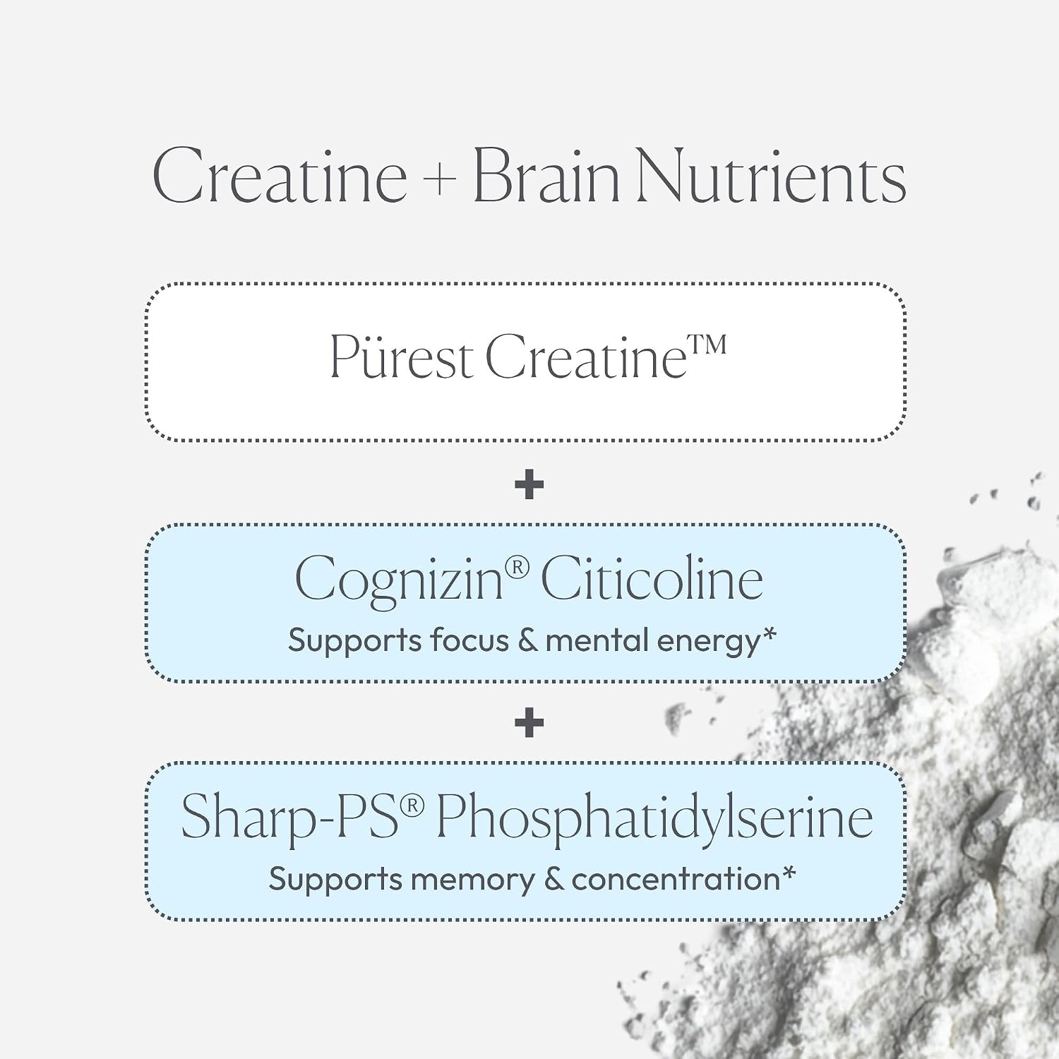 Papillex Creatine Well – Clean Creatine Powder for Brain Energy & Muscle Tone with Cognizin & Sharp•PS - PrimeBioHealth - canada supplements