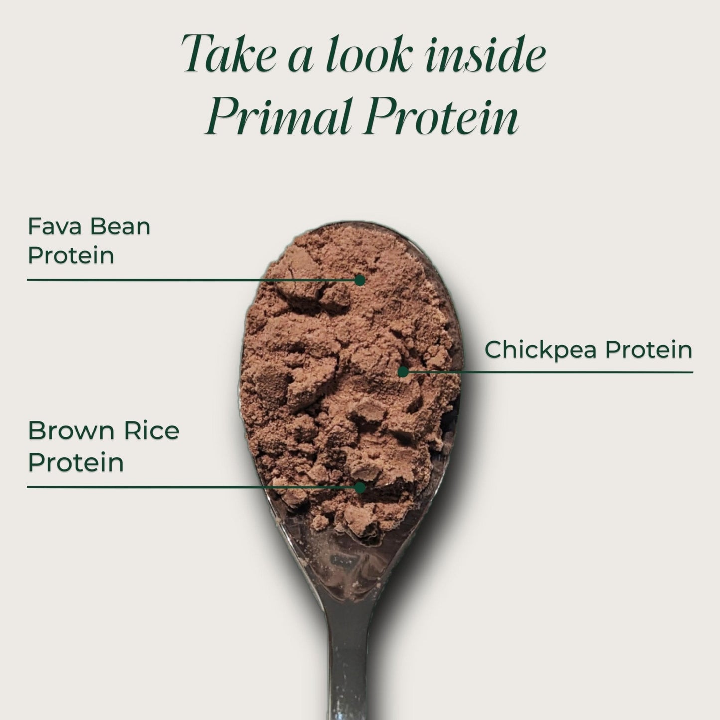 Primal Harvest Protein - Vegan Chocolate Protein Powder, Gluten & Dairy Free - PrimeBioHealth - canada supplements