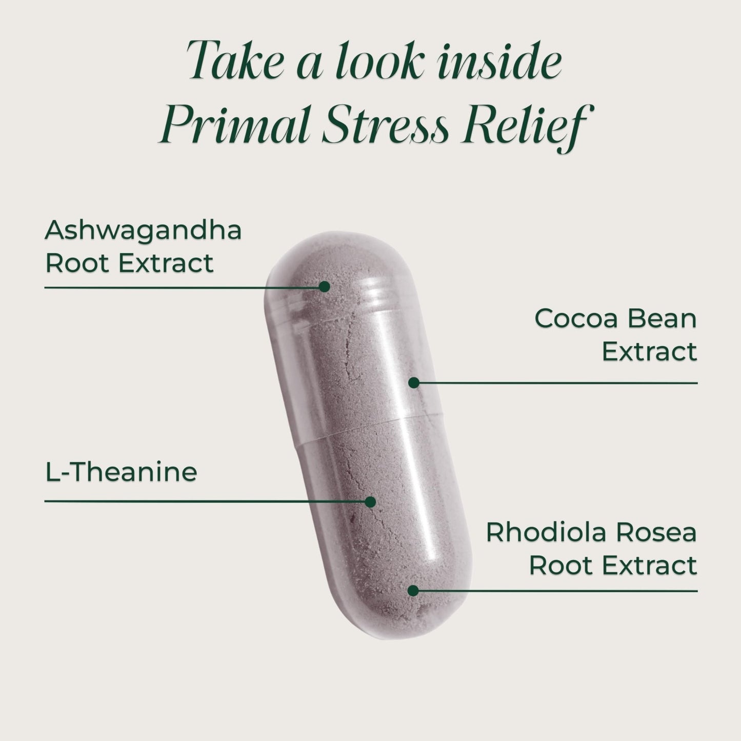 Primal Harvest Stress Relief – Daily Supplement, Gluten, Soy & Dairy Free - PrimeBioHealth - canada supplements