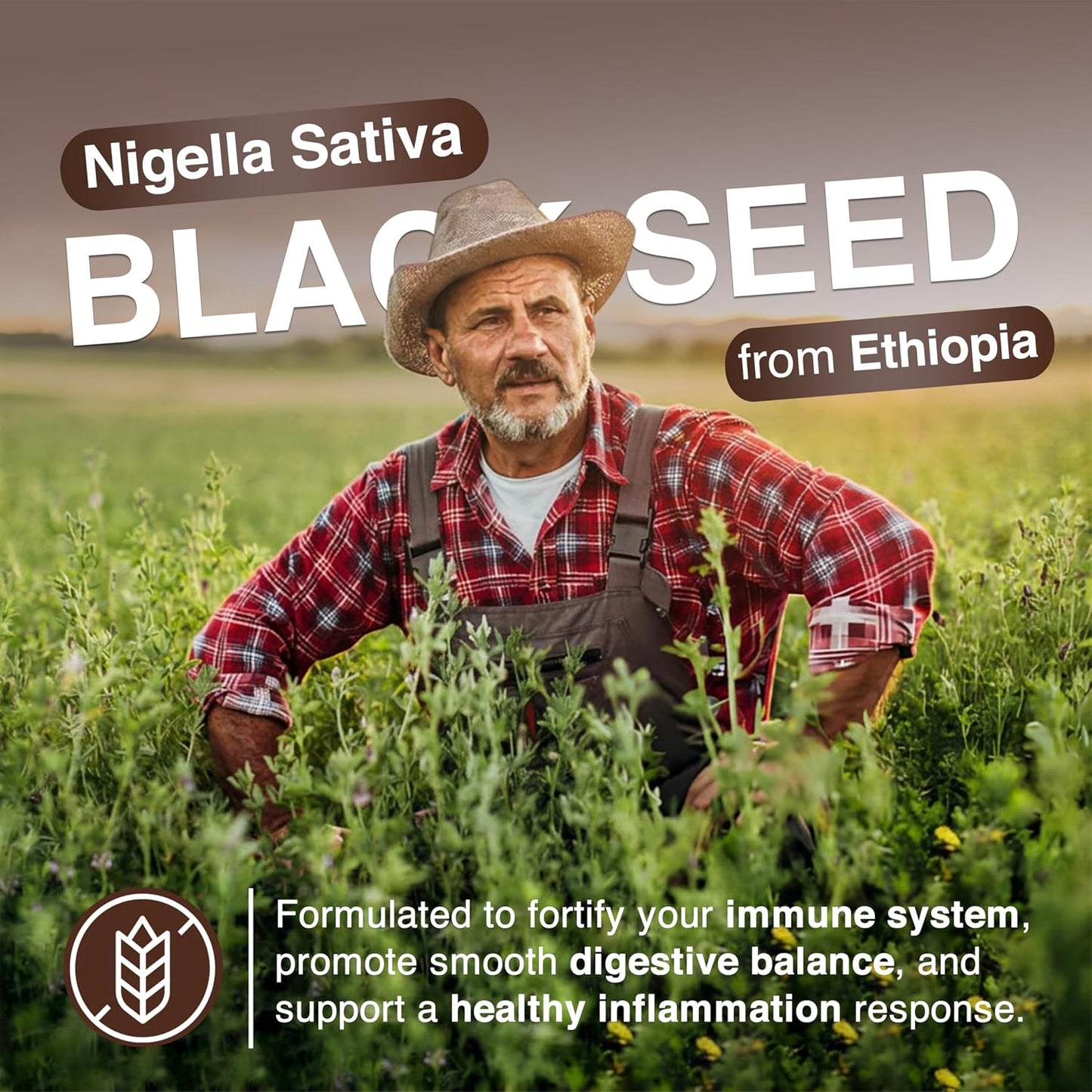 Resilia Ethiopian Black Seed Softgels 1000mg Per Serving – Premium Nigella Sativa Seed Oil Supplement – Digestive & Immune Support Formula – Easy to Swallow Soft Capsules (60 Count) - PrimeBioHealth - canada supplements