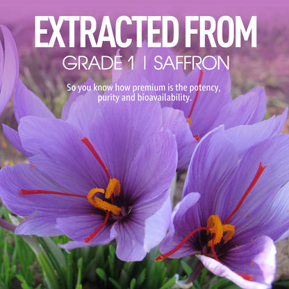 Saffron Supplements Gummies 100mg - 100% Pure Saffron Extract with Magnesium Glycinate, L-Theanine, Turmeric, Ashwagandha, Honey & Vitamin B Complex for Mood & Power, Antioxidant, Vitality - 60 Count - PrimeBioHealth - canada supplements