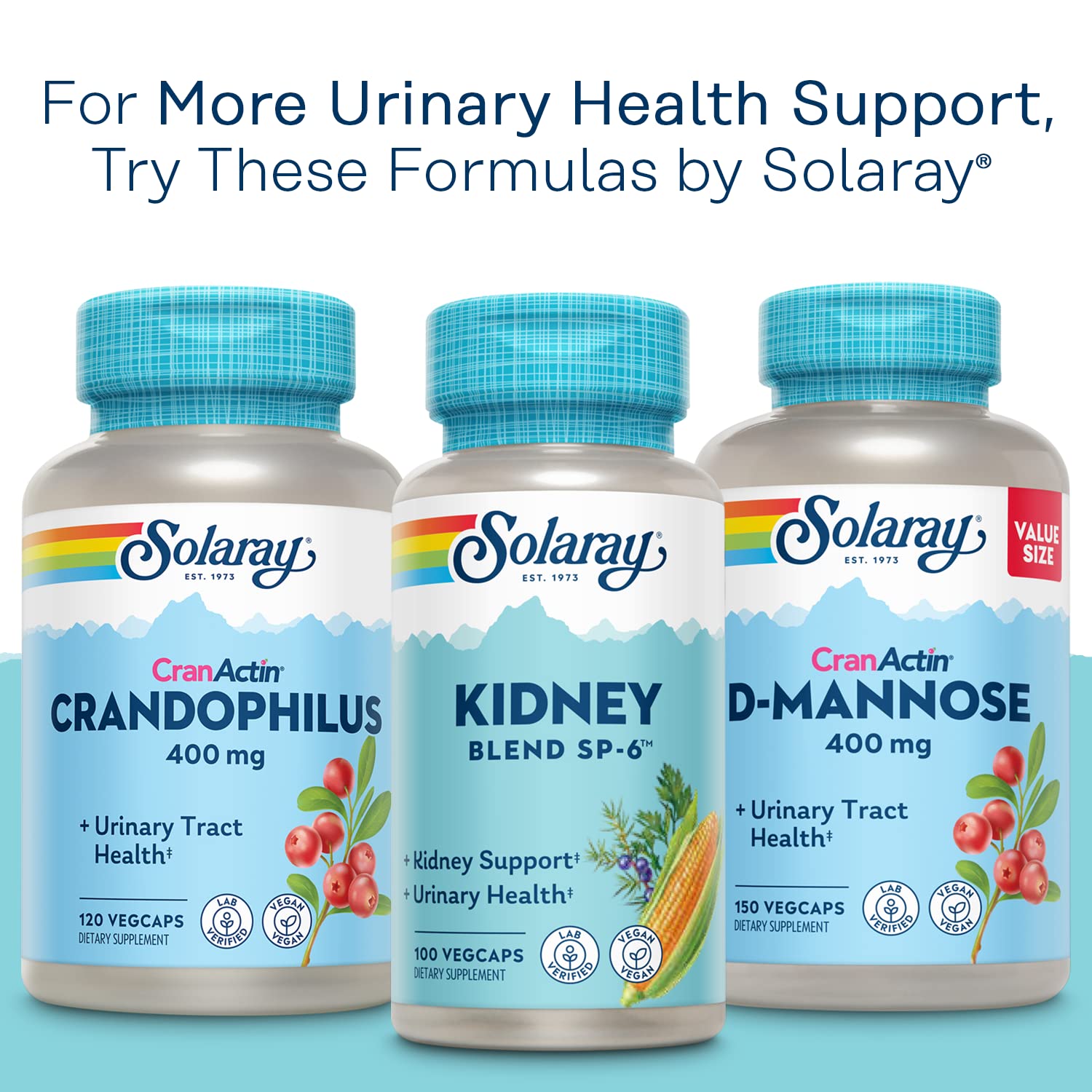 SOLARAY CranActin Cranberry Extract 400 mg - Cranberry Supplements for Women and Men - Bladder and Urinary Tract Health Support with Vitamin C - Vegan, 60-Day Guarantee, 120 Servings, 120 VegCaps - PrimeBioHealth - canada supplements