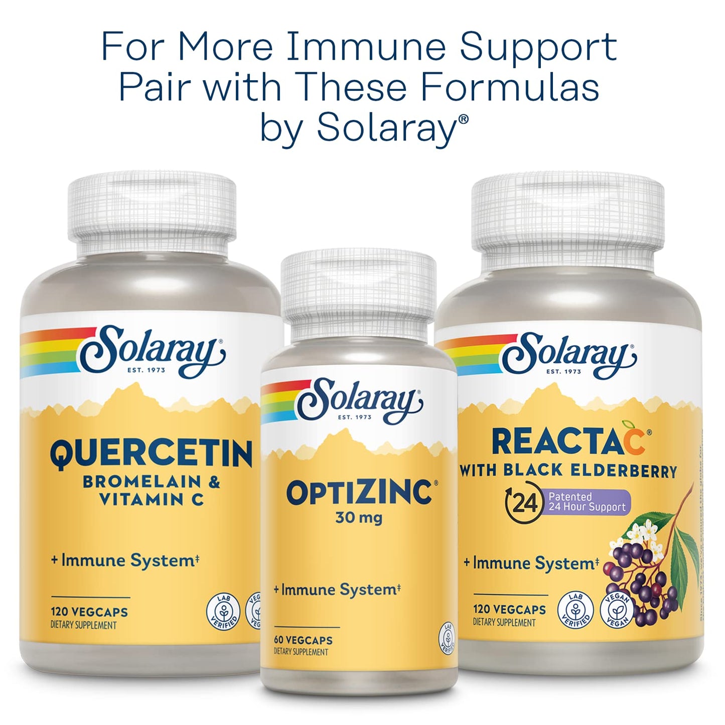 SOLARAY L-Lysine Monolaurin Immune Support Supplement, 1:1 Ratio for Immune System Function, 500 mg Each, 30 Servings, 60 VegCaps - PrimeBioHealth - canada supplements
