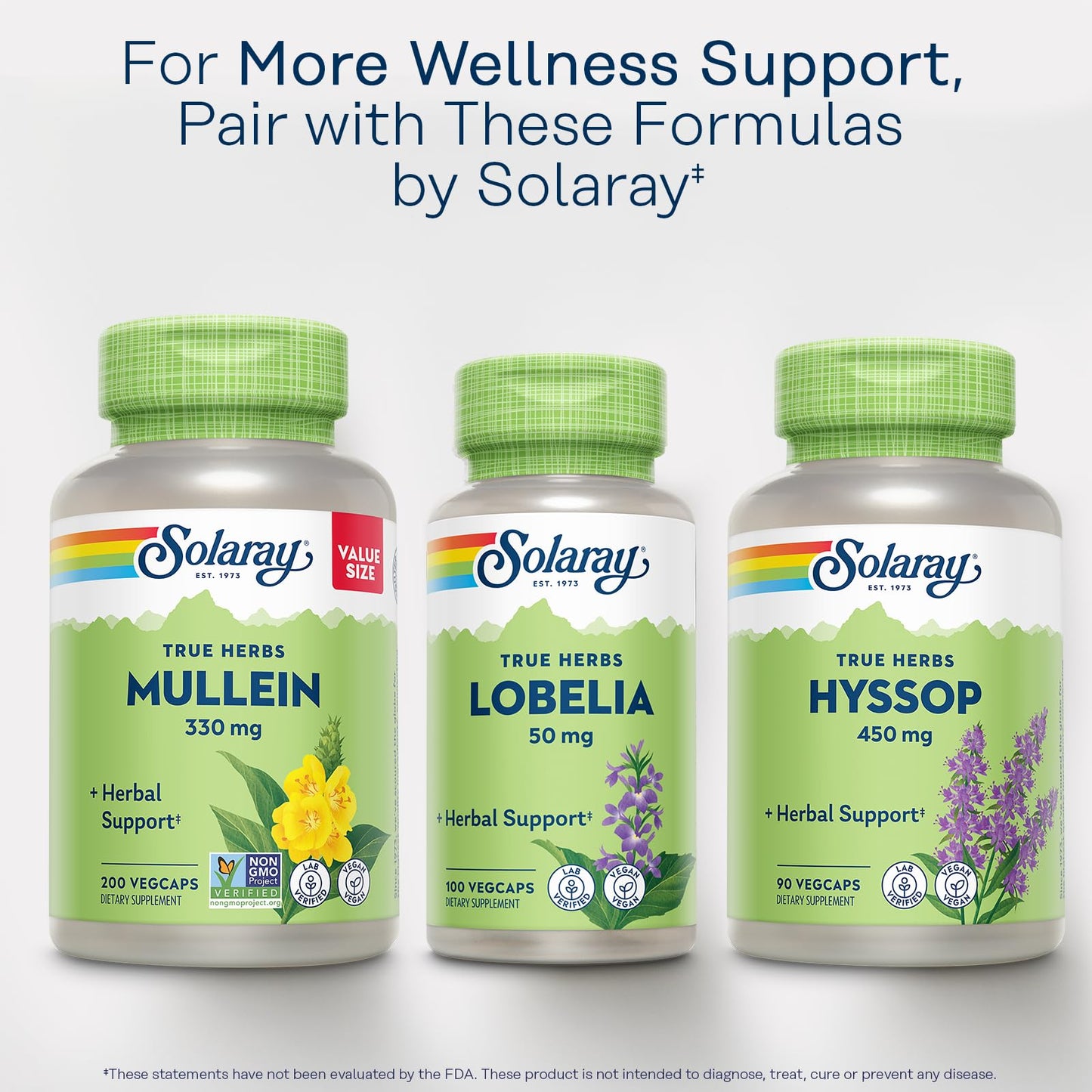 SOLARAY Mullein Leaf 330 mg - Soothing Herbal Support - Mullein Capsules Traditionally Used to Support Health and Wellness - Vegan, Non-GMO, Lab Verified, 60-Day Guarantee, 100 Servings, 100 VegCaps - PrimeBioHealth - canada supplements