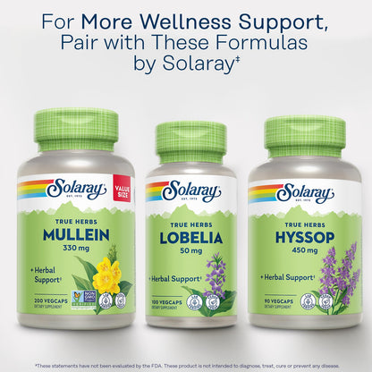 SOLARAY Mullein Leaf 330 mg - Soothing Herbal Support - Mullein Capsules Traditionally Used to Support Health and Wellness - Vegan, Non-GMO, Lab Verified, 60-Day Guarantee, 100 Servings, 100 VegCaps - PrimeBioHealth - canada supplements