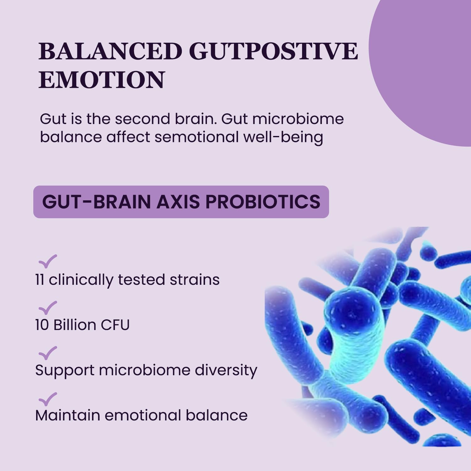 UpNourish Organic Ashwagandha Saffron Supplements with Probiotics - Stress Relief, Mood Enhancer, Calm Happy Pills Support Fatigue Focus Clarity with L-Theanine, Rhodiola, 30 Vegan Capsules - PrimeBioHealth - canada supplements