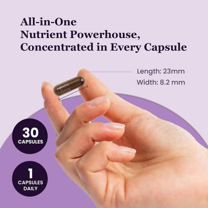UpNourish Organic Ashwagandha Saffron Supplements with Probiotics - Stress Relief, Mood Enhancer, Calm Happy Pills Support Fatigue Focus Clarity with L-Theanine, Rhodiola, 30 Vegan Capsules - PrimeBioHealth - canada supplements