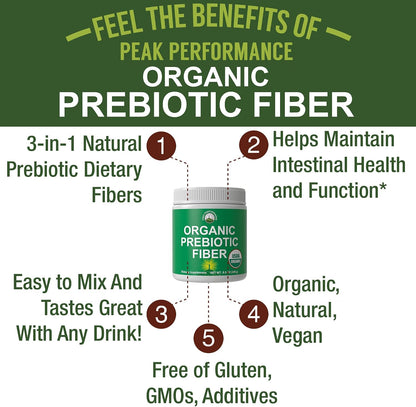 USDA Organic Prebiotic Fiber 3-in-1 Vegan Powder for Gut Health - Raw Whole Food Plant Based Prebiotics Digestive Supplement with Inulin (Jerusalem Artichoke), Acacia Fibers, SunFiber 240g - PrimeBioHealth - canada supplements