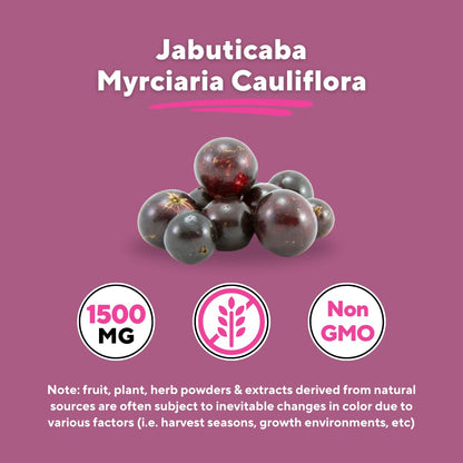 Vitapia Jabuticaba Fruit Powder Supplement for Antioxidant, Better Lung Health, Digestion, Immune Support - 1500mg Per Serving - 90 Vegan Capsules, Non-GMO, Gluten-Free - PrimeBioHealth - canada supplements