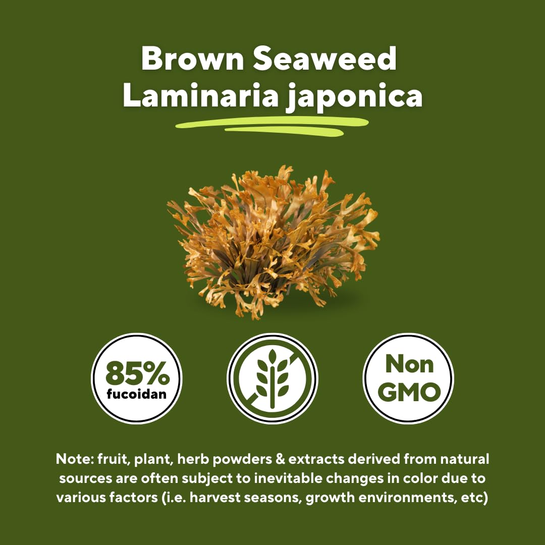 Vitapia Pure Fucoidan 85% Brown Seaweed Extract for Immune, Strong Cellular Health, Digestive Support - 1000mg Fucoidan Per Serving - 120 Veggie Capsules Non-GMO, Gluten-Free, Vegan-Friendly - PrimeBioHealth - canada supplements