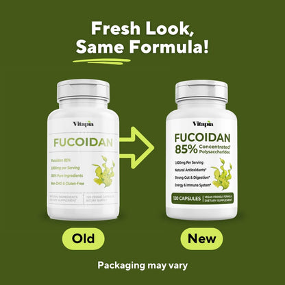 Vitapia Pure Fucoidan 85% Brown Seaweed Extract for Immune, Strong Cellular Health, Digestive Support - 1000mg Fucoidan Per Serving - 120 Veggie Capsules Non-GMO, Gluten-Free, Vegan-Friendly - PrimeBioHealth - canada supplements