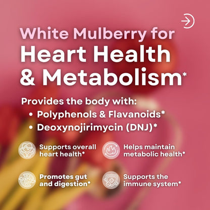 White Mulberry Leaf Extract 1000mg - 12:1 Morus Alba Extract - Antioxidant, Heart Health, Overall Metabolism Support - 180 Veggie Capsules - Non GMO, Gluten Free, Vegan Friendly Supplement - PrimeBioHealth - canada supplements